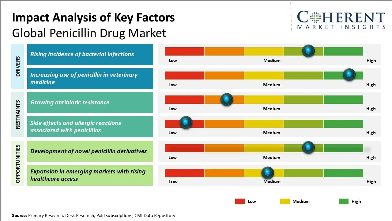 Penicillin Drug Market Key Factors